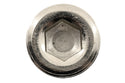 Steel Drain Hex Socket Plug – 1/2